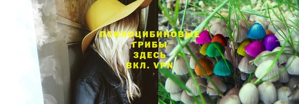 гидра Вязьма