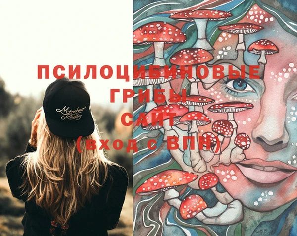 сатива Абаза