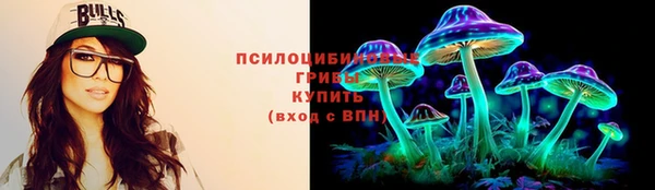 сатива Абаза