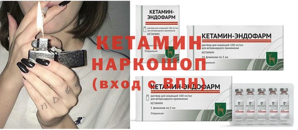 сатива Абаза